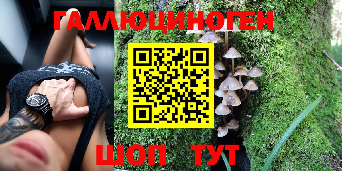 Галлюциногенные грибы MAGIC MUSHROOMS  Вход с VPN  Россия 